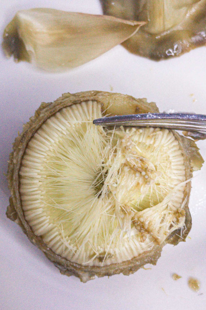 Closeup of artichoke cup with hairs on top being scraped off with a fork.