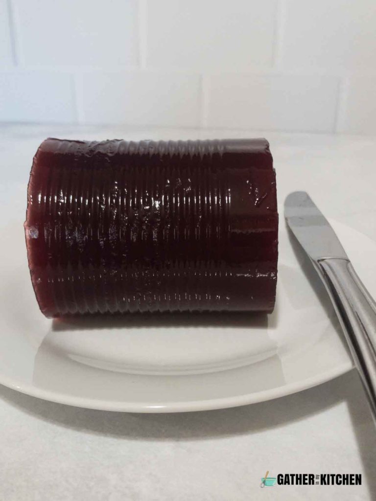 Canned jellied cranberry sauce on it's side.