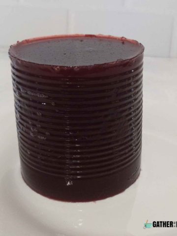 jellied cranberry sauce standing on end.