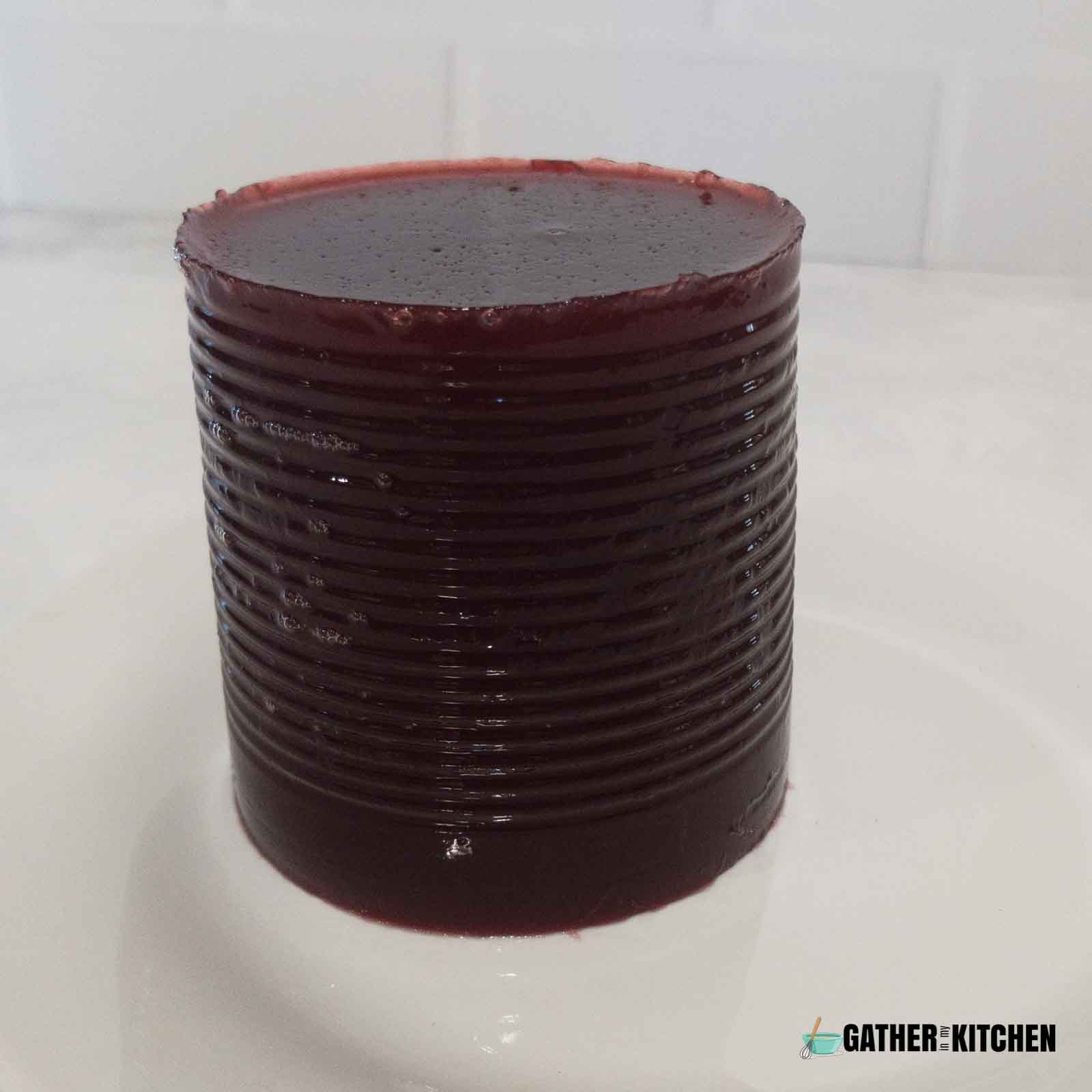 Canned cranberry sauce standing on it's side.