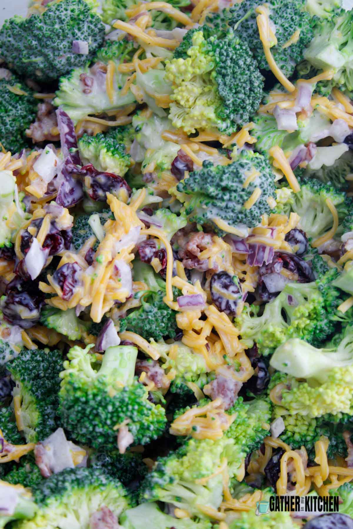 Closeup of broccoli salad.