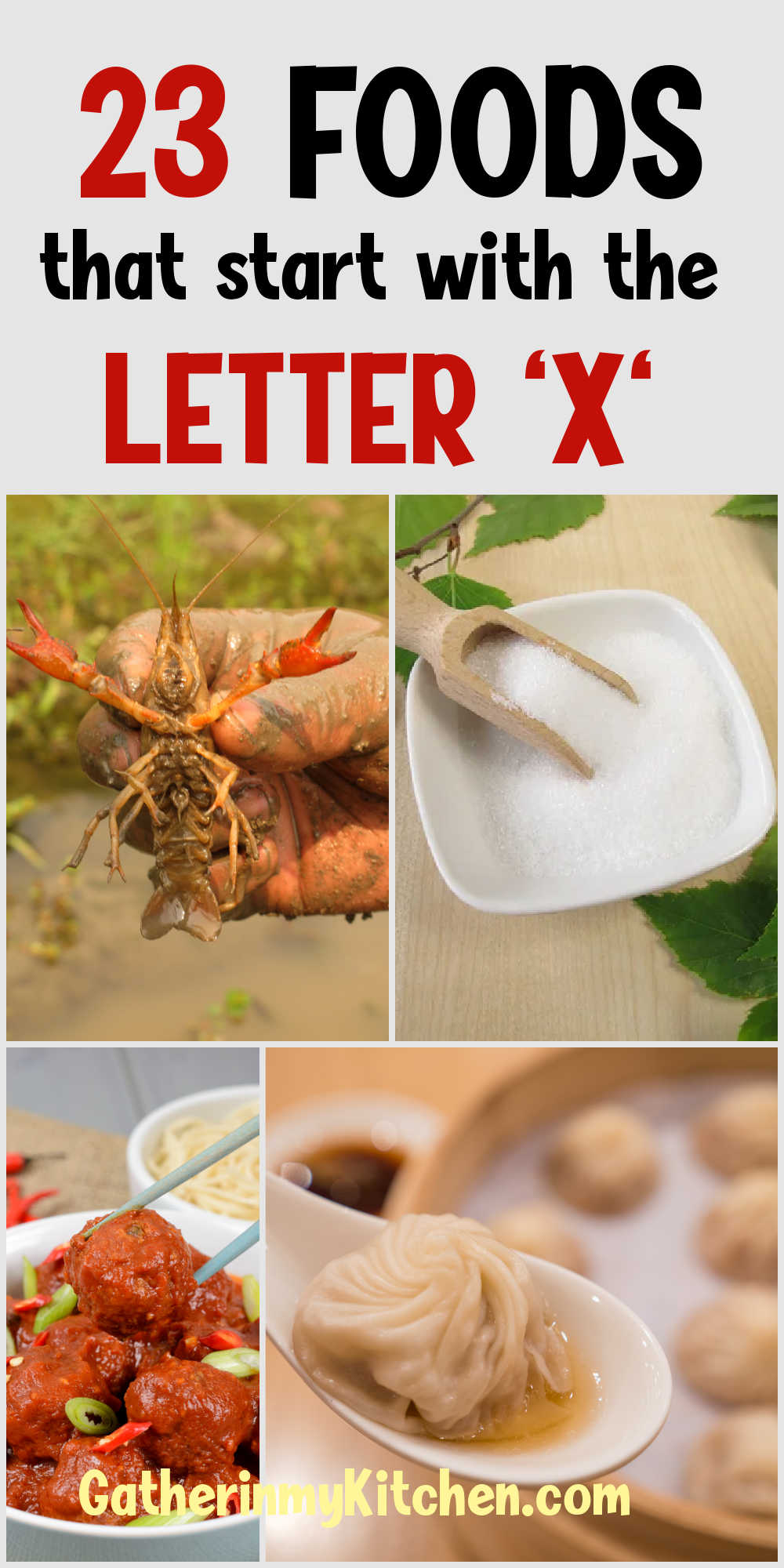 Pin image: top says "23 Foods that start with the letter "x". Bottom has a collage of 4 foods.