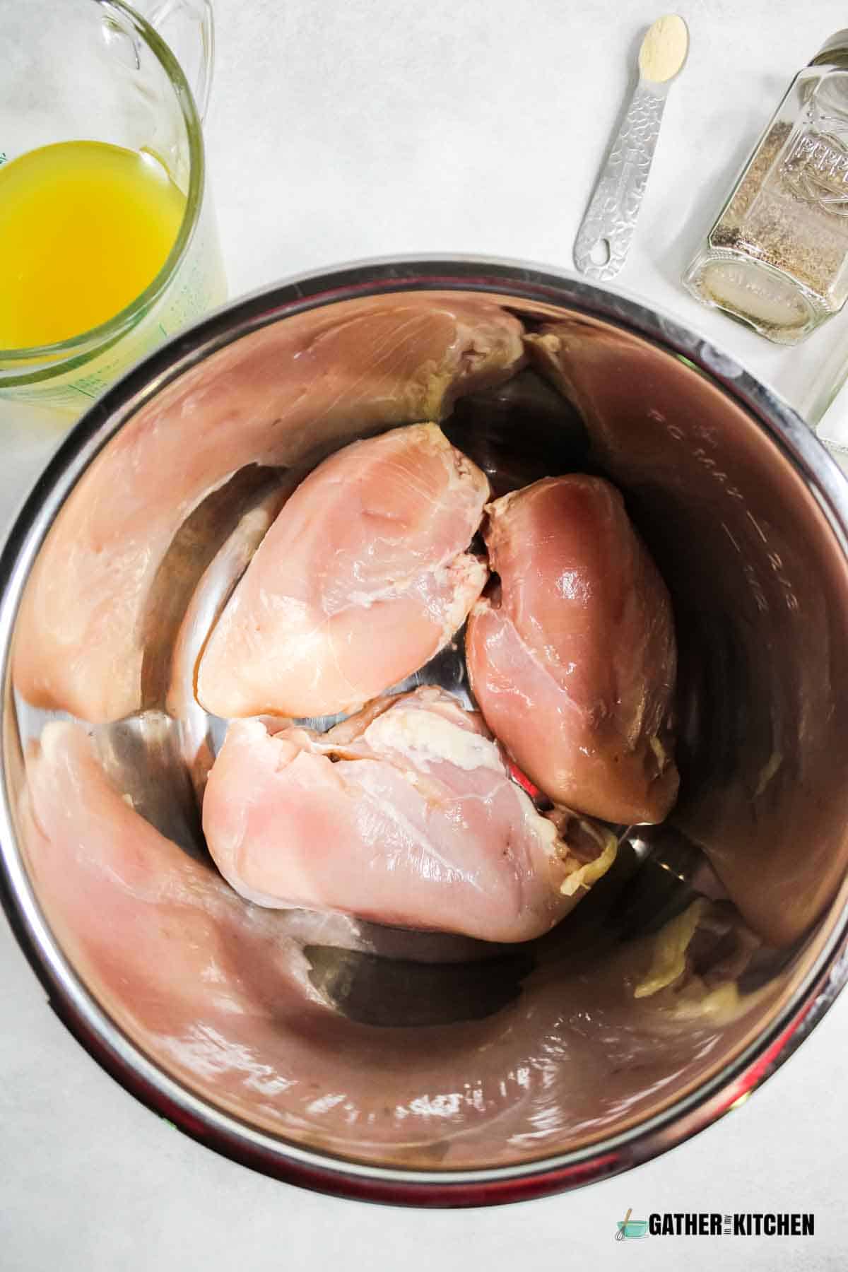 Raw chicken breast in bottom of Instant Pot.