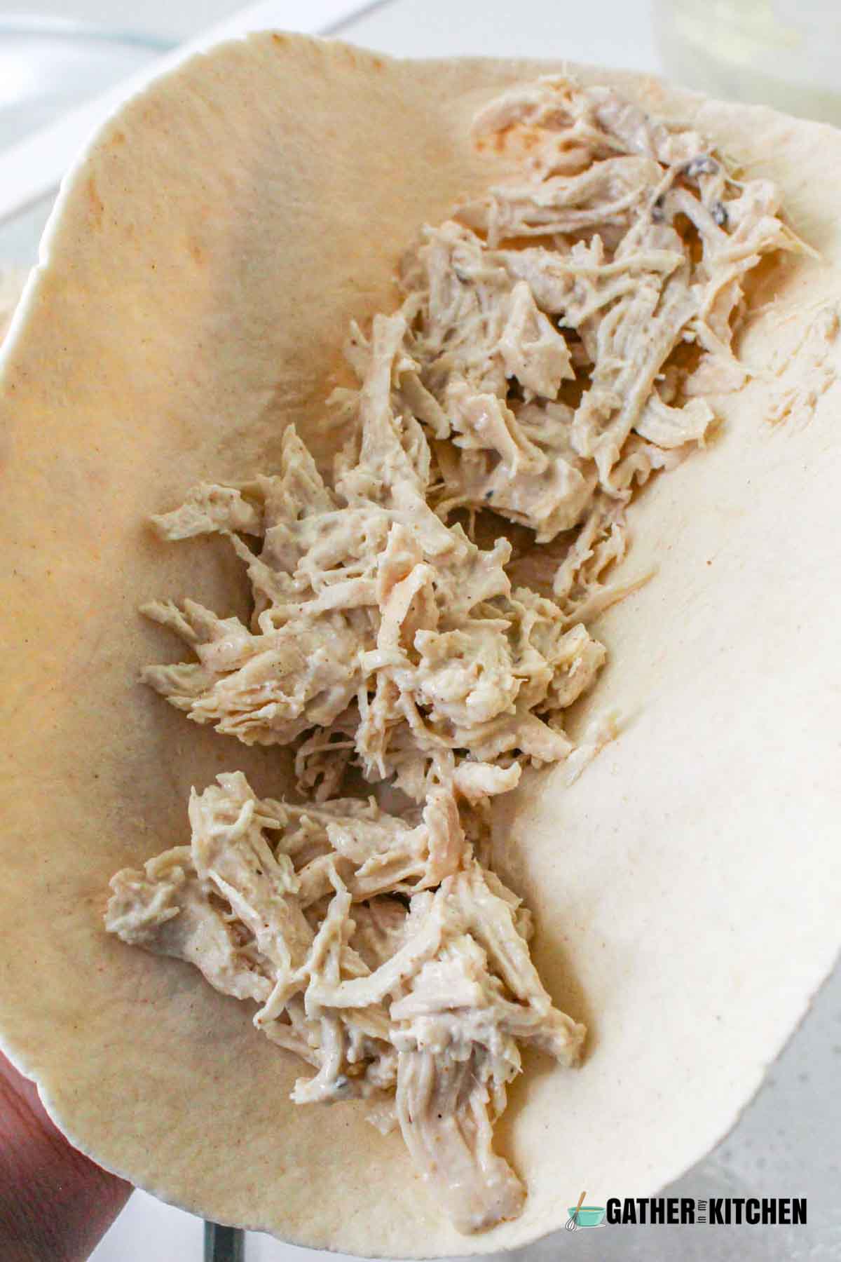 Shredded chicken on a tortilla.