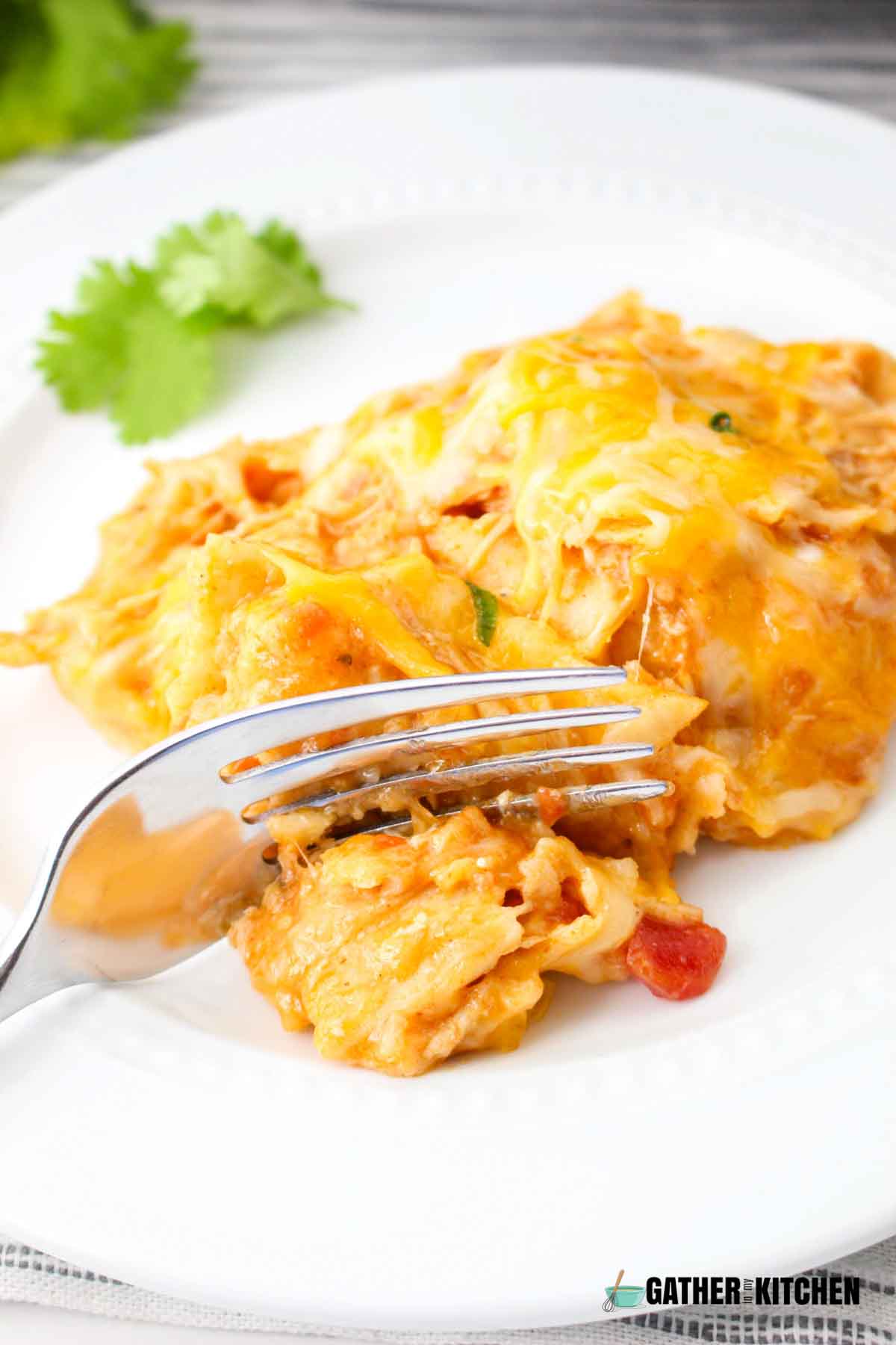 A plate of enchilada casserole with a fork slicing through it.